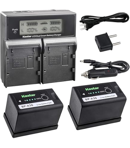 Amazon.com : BM Premium 2 Pack BP-A30 Batteries for Canon EOS C70